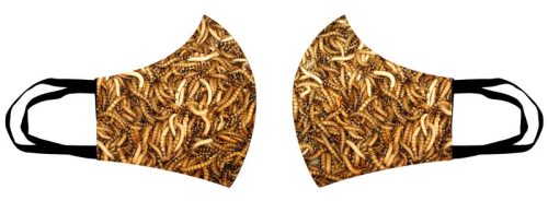 MAGGOTS (kukacok) (maszk)