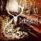 DALRIADA: Őszelő (CD)