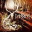 DALRIADA: Őszelő (CD)