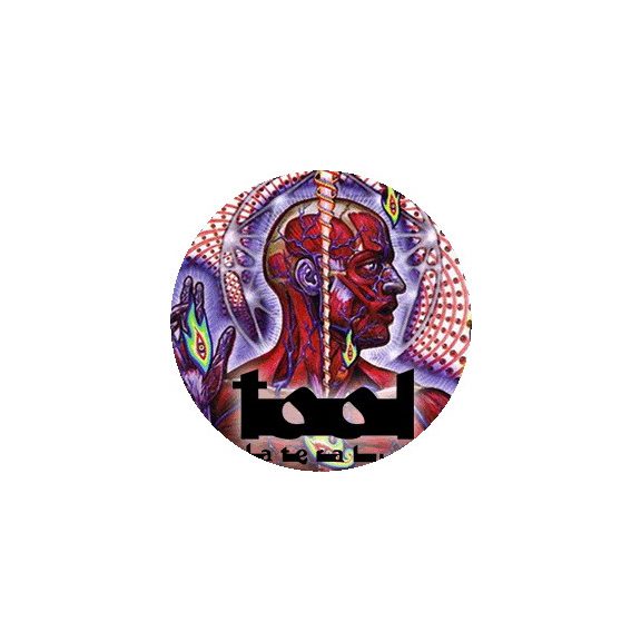 TOOL: Lateralus (nagy jelvény, 3,7 cm) TOOL: Lateralus (nagy jelvény, 3,7 cm)