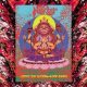 NEKTAR: Live In Germany 2005 (2CD)