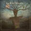 IN THE WOODS…: Diversum (CD)