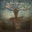 IN THE WOODS…: Diversum (LP)