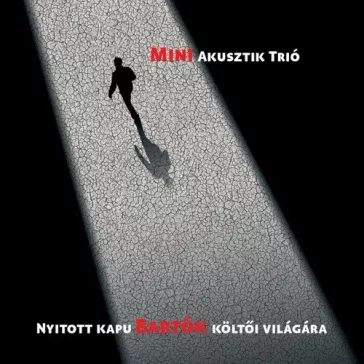 MINI AKUSZTIK TRIÓ: Nyitott kapu (CD)