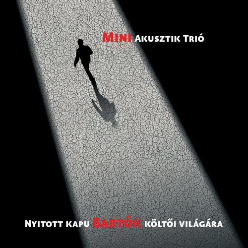 MINI AKUSZTIK TRIÓ: Nyitott kapu (CD)
