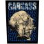 CARCASS: Necro Head (hátfelvarró / backpatch)
