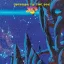 YES: Mirror To The Sky (CD)