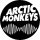 ARCTIC MONKEYS: AM (jelvény, 2,5 cm) 