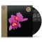 OPETH: Orchid (2LP)