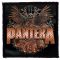 PANTERA: 2023 Tour (9,5 cm x 9,5 cm) (felvarró) 