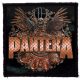 PANTERA: 2023 Tour (9,5 cm x 9,5 cm) (felvarró) 