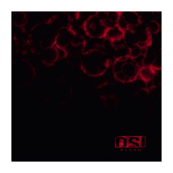 OSI: Blood (2CD) OSI: Blood (2CD)