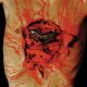 DISMEMBER: Indecendent & Obscene (CD)