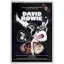 DAVID BOWIE - The Man Who Sold The World (5 db pengető, 1 mm vastag) 