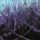 OCTOBER TIDE: Rain Without End (CD)
