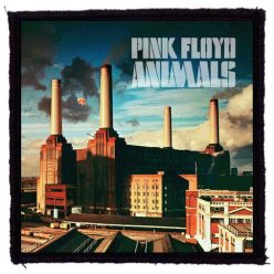 PINK FLOYD: Animals (9,5 cm x 9,5 cm) (felvarró) 