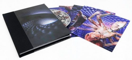 TOOL: Fear Inoculum (CD, casebook)