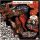 DAYGLO ABORTIONS: Holy Shiite! (LP)