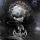 OBSCURA: A Sonication (CD)