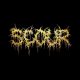 SCOUR: Gold (CD)