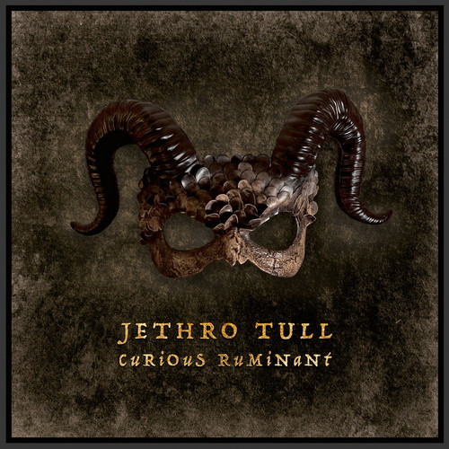JETHRO TULL: Curious Ruminant (CD)