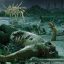 CATTLE DECAPITATION: The Anthropocene Extinction (CD)