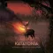 KATATONIA: Nightmares As Extensions Of The Waking State (CD, +2 bonus, mediabook)
