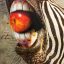 A-Z: A-Z (LP)