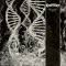CORONER: Dissonance Theory (CD)