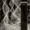 CORONER: Dissonance Theory (LP, 180 gr)