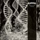 CORONER: Dissonance Theory (LP, 180 gr)