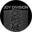 JOY DIVISION: Unknown Pleasures (jelvény, 2,5 cm) 