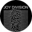 JOY DIVISION: Unknown Pleasures (jelvény, 2,5 cm) 