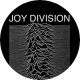 JOY DIVISION: Unknown Pleasures (nagy jelvény, 3,7 cm)