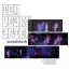 TEN YEARS AFTER: Woodstock 1969 (2LP)
