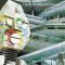 ALAN PARSONS PROJECT: I Robot (CD 2025 reissue)