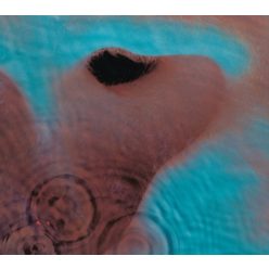 PINK FLOYD: Meddle (LP, 2016)