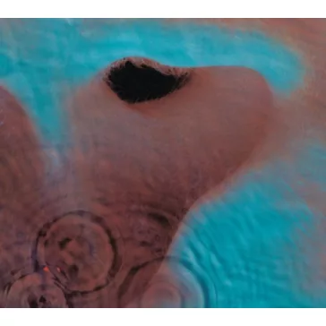 PINK FLOYD: Meddle (LP, 2016)