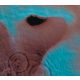 PINK FLOYD: Meddle (LP, 2016)