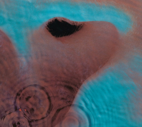 PINK FLOYD: Meddle (LP)
