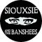 SIOUXSIE AND THE BANSHEES: Eyes (jelvény, 2,5 cm) 