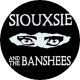 SIOUXSIE AND THE BANSHEES: Eyes (jelvény, 2,5 cm) 